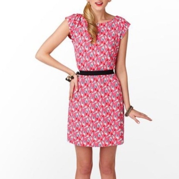 Lilly Pulitzer Dresses & Skirts - Lilly Pulitzer Laney Kissy Dress Size Medium Lipstick Pattern Pink Blue‎